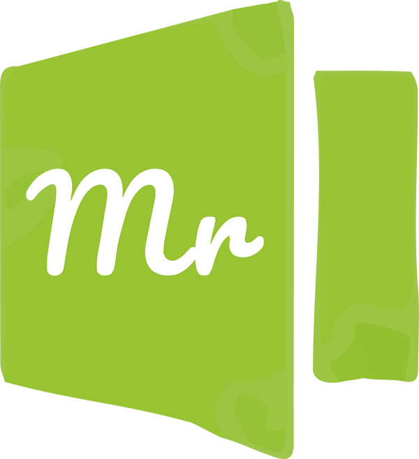 Mr Excel Template